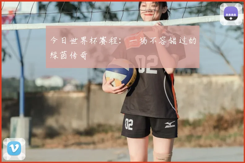 今日世界杯赛程：一场不容错过的绿茵传奇