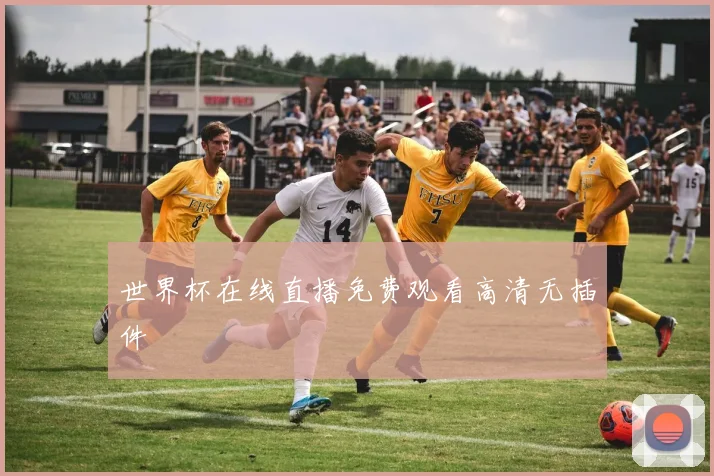 世界杯在线直播免费观看高清无插件