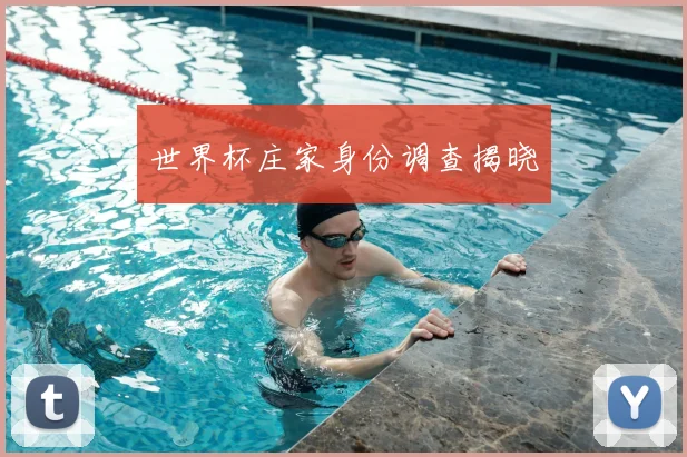 世界杯庄家身份调查揭晓