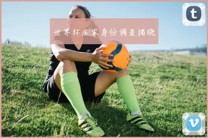 世界杯庄家身份调查揭晓