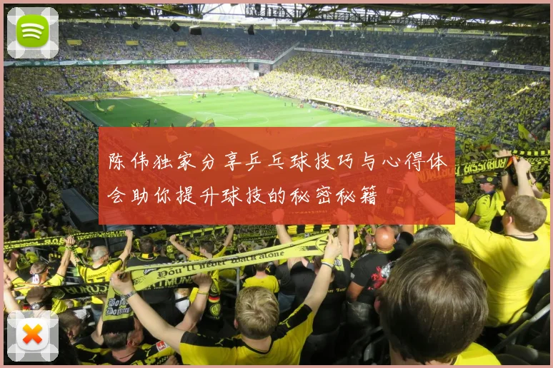 陈伟独家分享乒乓球技巧与心得体会助你提升球技的秘密秘籍
