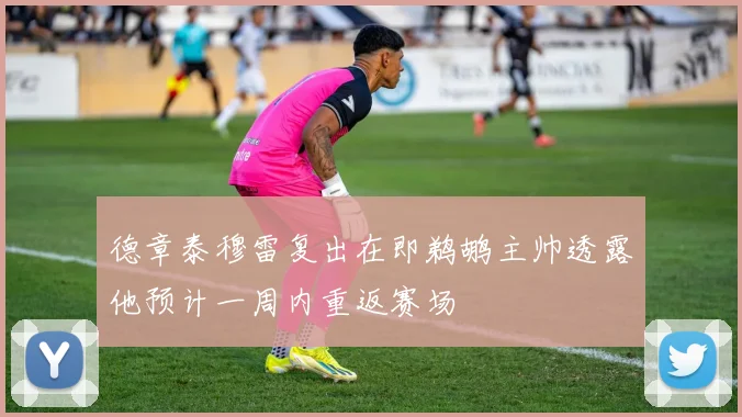 德章泰穆雷复出在即鹈鹕主帅透露他预计一周内重返赛场