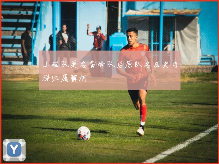 山猫队更名黄蜂队后原队名历史与现归属解析