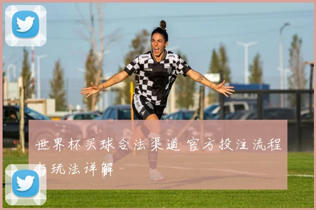 世界杯买球合法渠道 官方投注流程与玩法详解
