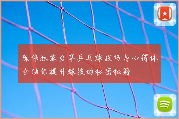 陈伟独家分享乒乓球技巧与心得体会助你提升球技的秘密秘籍