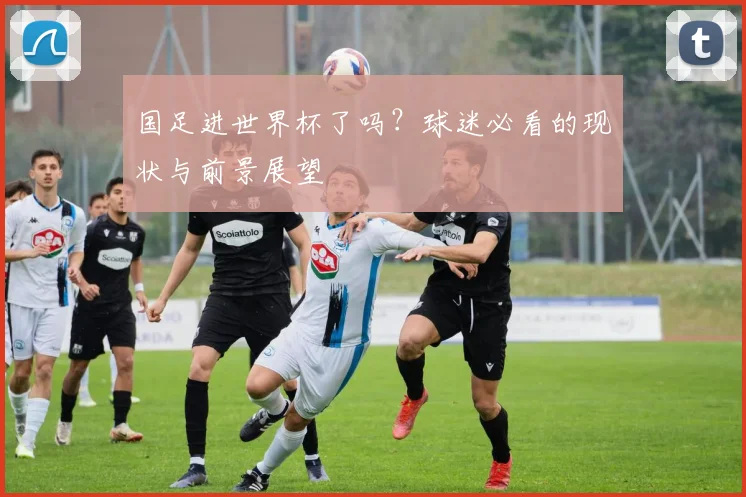 国足进世界杯了吗?球迷必看的现状与前景展望