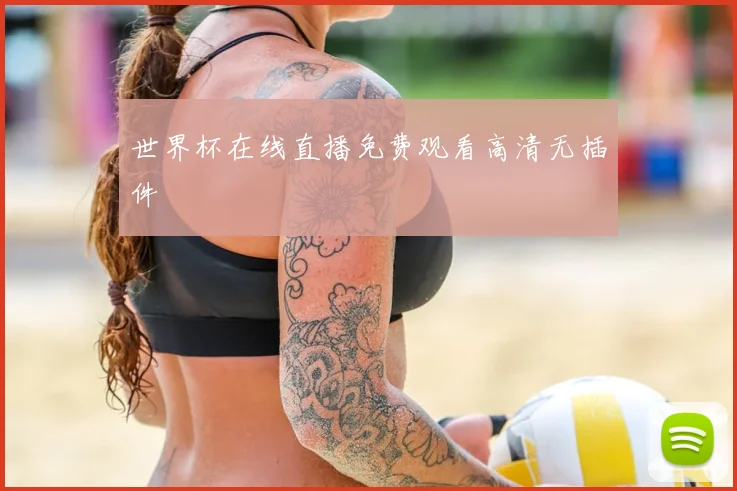 世界杯在线直播免费观看高清无插件