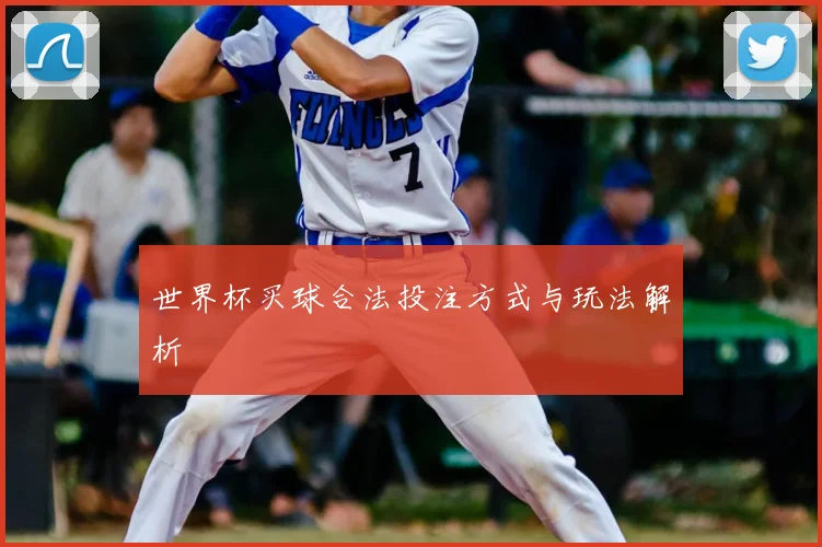 世界杯买球合法投注方式与玩法解析