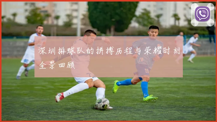 深圳排球队的拼搏历程与荣耀时刻全景回顾