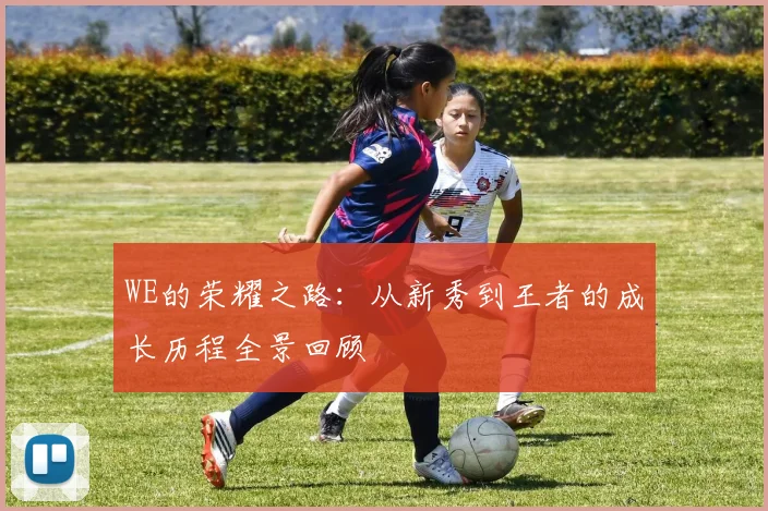 WE的荣耀之路：从新秀到王者的成长历程全景回顾
