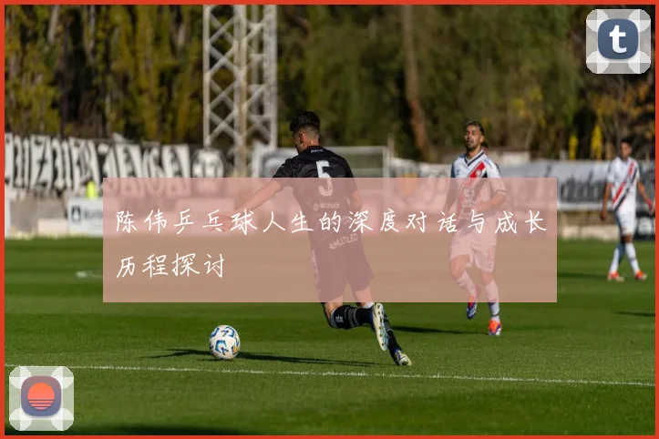 陈伟乒乓球人生的深度对话与成长历程探讨