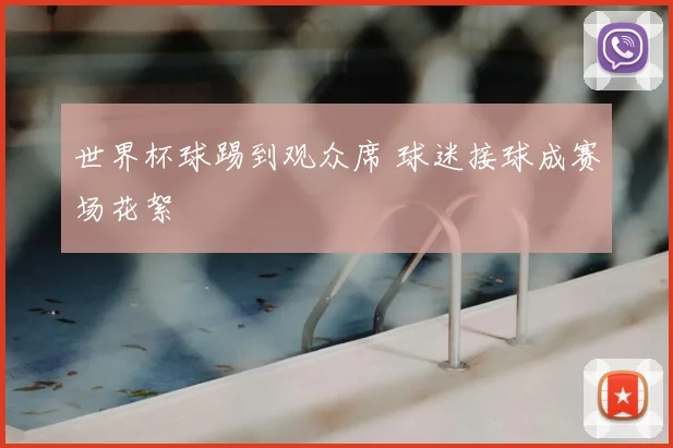 世界杯球踢到观众席 球迷接球成赛场花絮
