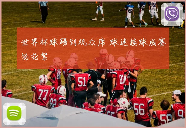 世界杯球踢到观众席 球迷接球成赛场花絮