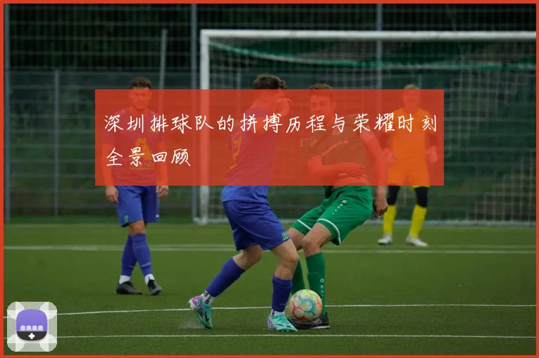深圳排球队的拼搏历程与荣耀时刻全景回顾