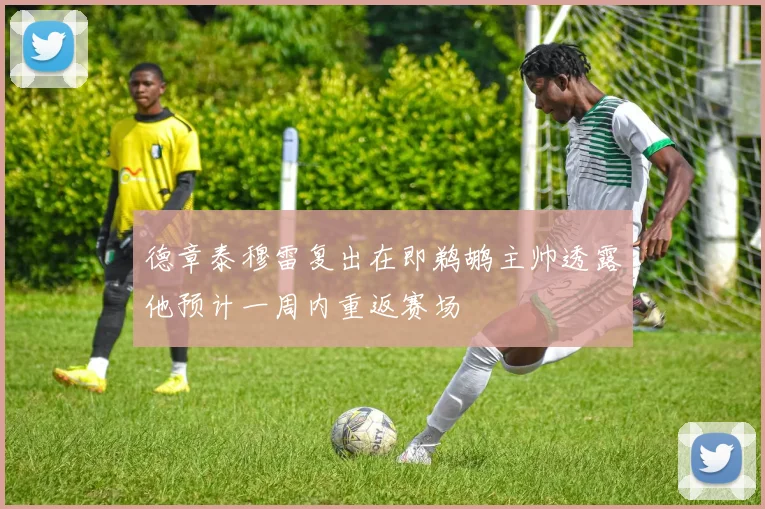 德章泰穆雷复出在即鹈鹕主帅透露他预计一周内重返赛场