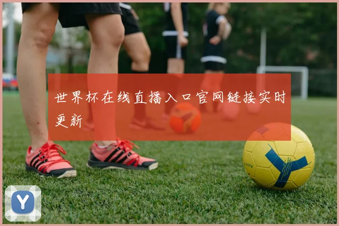 世界杯在线直播入口官网链接实时更新