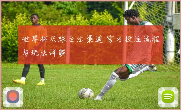 世界杯买球合法渠道 官方投注流程与玩法详解