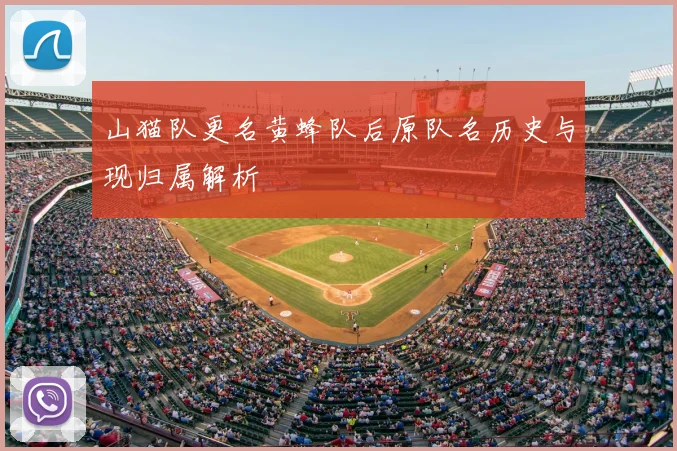 山猫队更名黄蜂队后原队名历史与现归属解析
